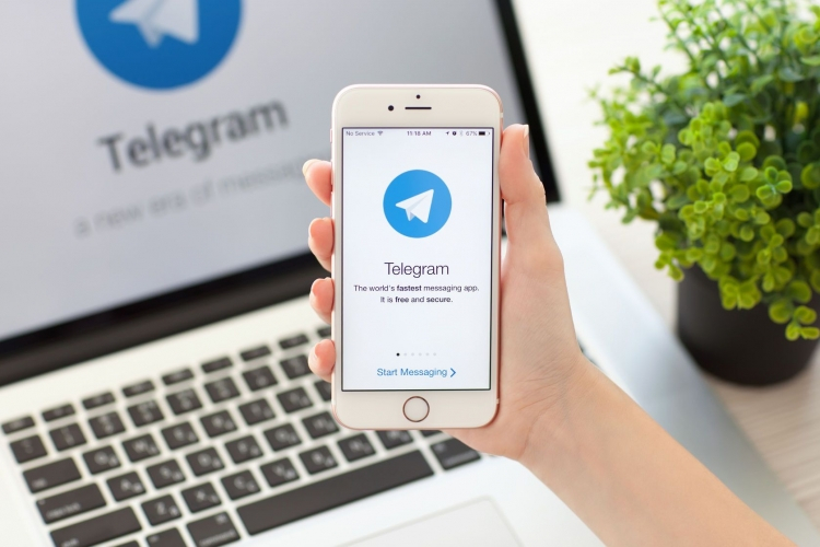 Выйти из тени: в Госдуму внесён законопроект о разблокировке Telegram