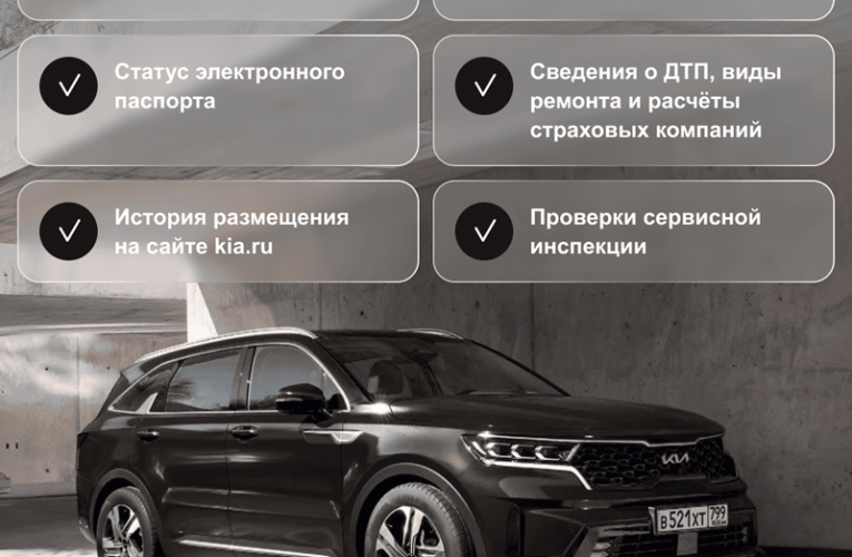 Проверка истории автомобиля Kia по VIN-номеру